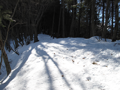 20180126hike (52)